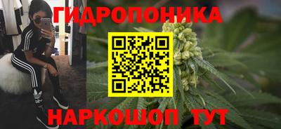 бошки Жуковский