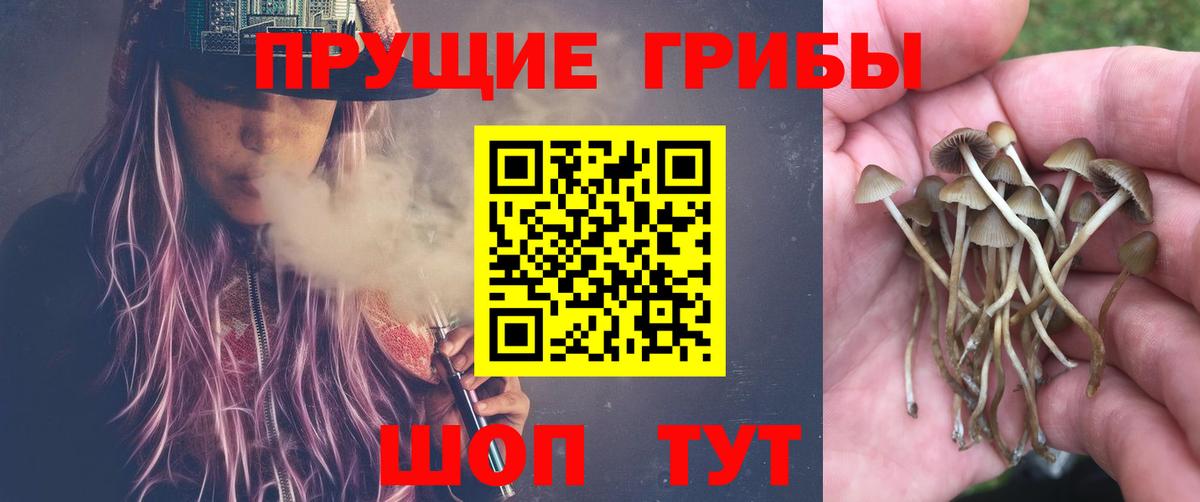 Галлюциногенные грибы Magic Shrooms Майский